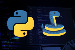 Python Logo